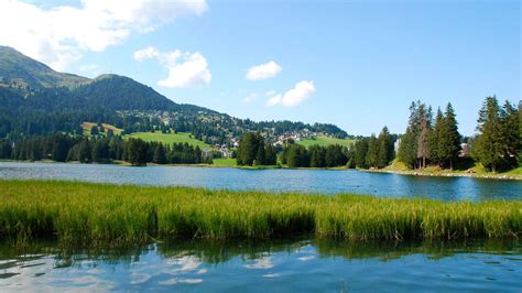 16 Best Hotels in Lenzerheide. Hotels from $203/night .